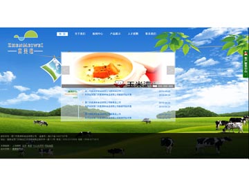 廈門(mén)市真美味食品有限公司